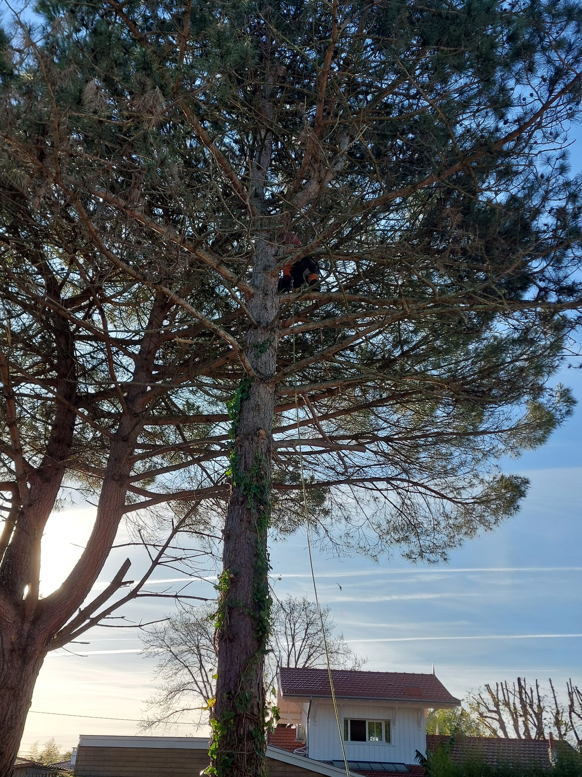 Démolition à Lège-Cap-Ferret