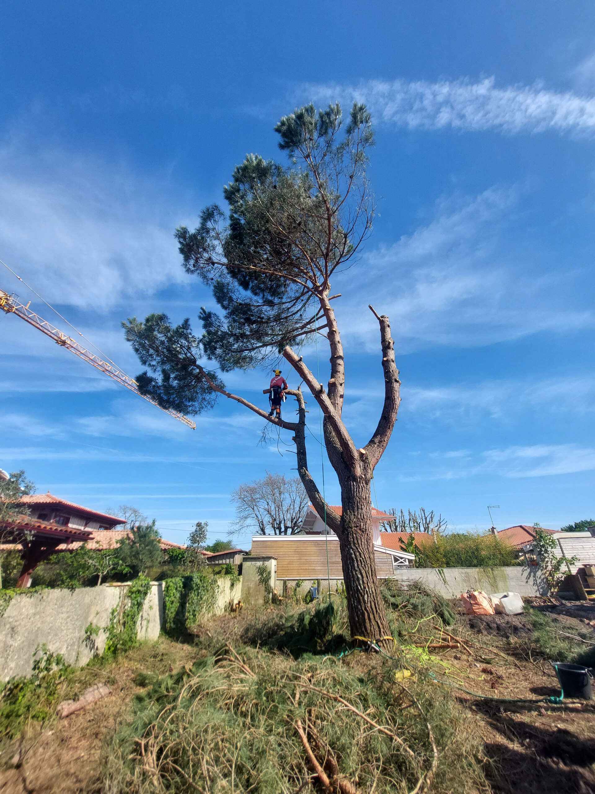 Démolition à Lège-Cap-Ferret